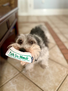 Hat Dog Toy