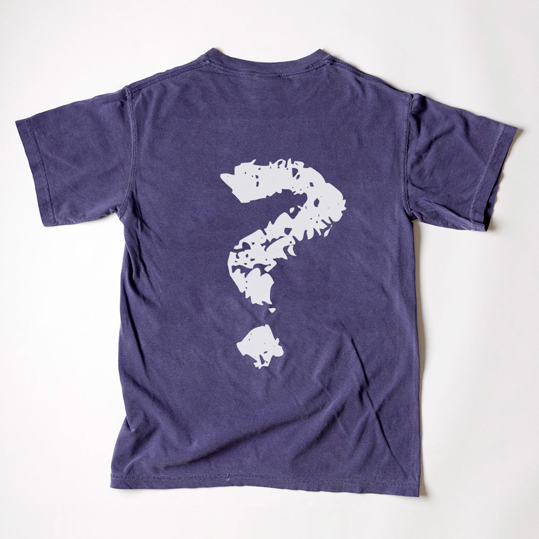 Mystery Shirt